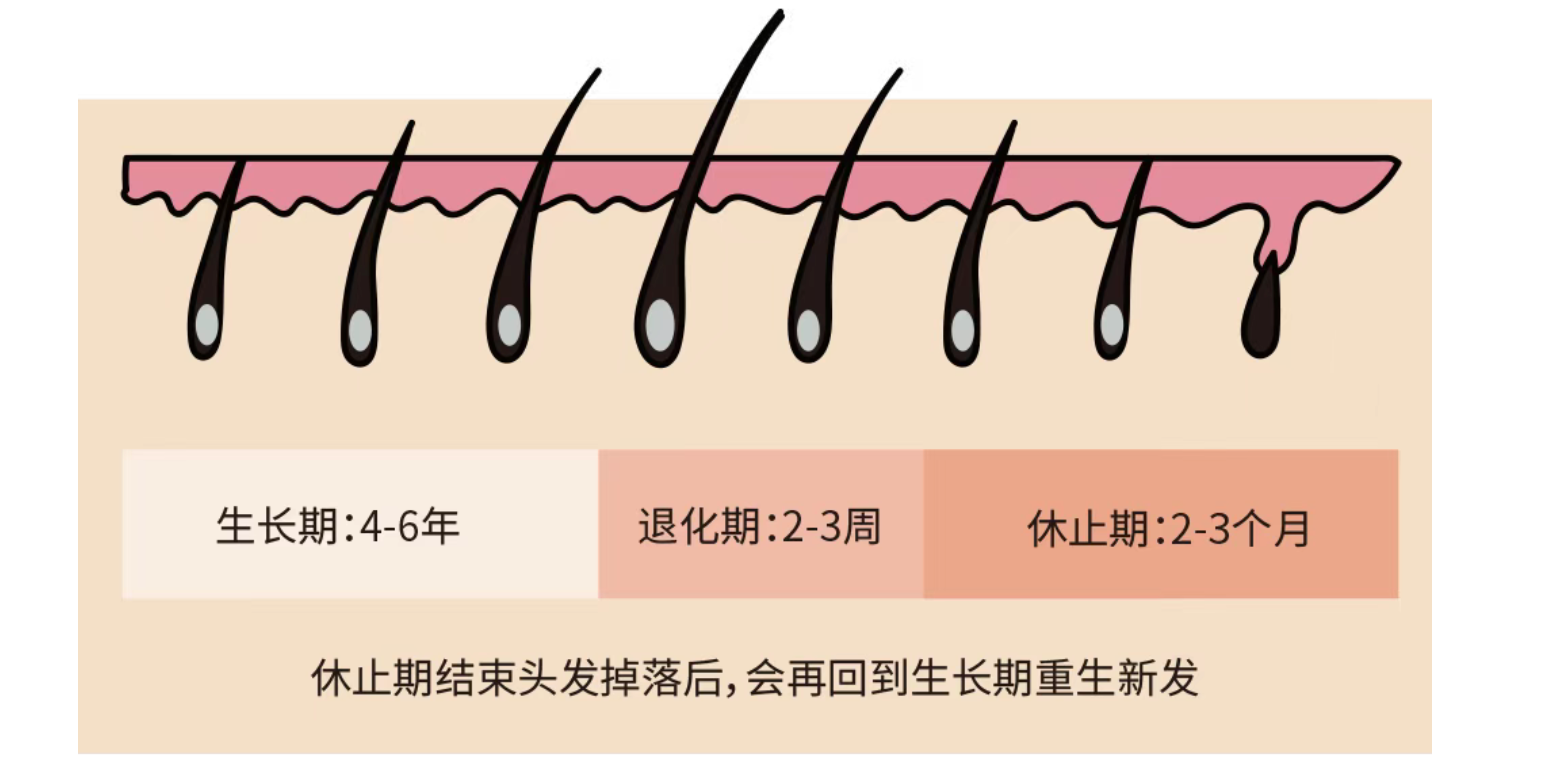 植發還是用米諾地爾？看完這篇再做決定